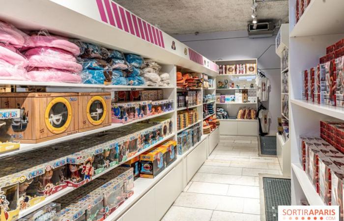 One Piece Pop-up Shop: Der riesige immersive Store mit Café und Ausstellung wird in Paris eröffnet