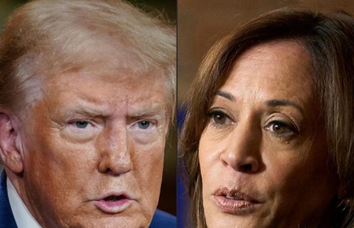 Etwas mehr als zwei Wochen bis zur Abstimmung: Wo stehen Harris und Trump?