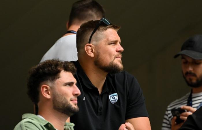 Willemse verhaftet, Wahlen, Jégou-Auradou-Affäre… Rugby-Nachrichten für diesen Freitag, 18. Oktober