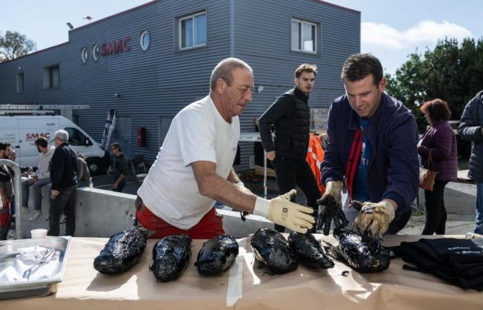 In La Rochelle kochen sie ihre Beine in Bitumen