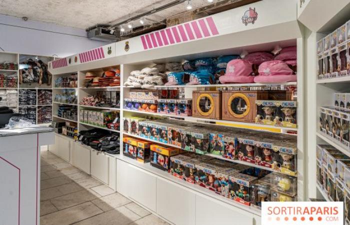 One Piece Pop-up Shop: Der riesige immersive Store mit Café und Ausstellung wird in Paris eröffnet