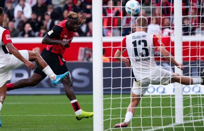 Spielbericht | Trapps verunglückte Abwehr legt Boniface das Siegtor auf | Bayer 04 Leverkusen – Eintracht Frankfurt 2:1 | 7. Spieltag | Bundesliga 2024/25