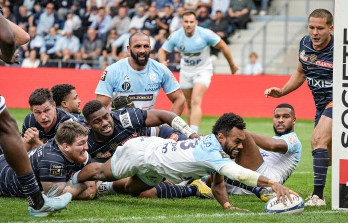 Racing 92 bricht in Bayonne zusammen, soziale Netzwerke gnadenlos