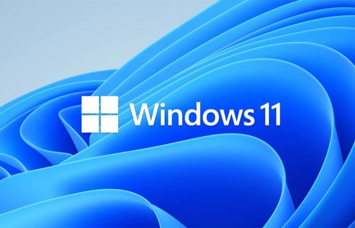 Diese Lite-Version von Windows 11 reduziert das 24H2-Update von 30 auf 4 GB, perfekt für alte PCs