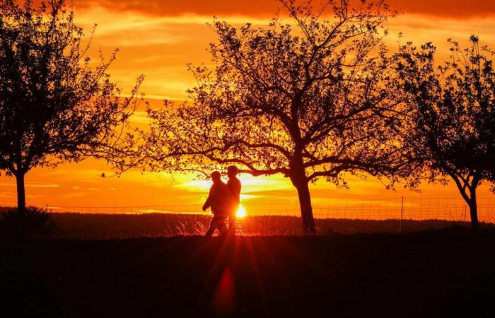 Baden-Württemberg wird von einer „scharfen Wettergrenze“ getroffen