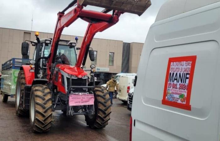 Gesundheitliche Gleichstellung im Schneckenbetrieb von Langres bis Chaumont