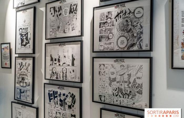 One Piece Pop-up Shop: Der riesige immersive Store mit Café und Ausstellung wird in Paris eröffnet