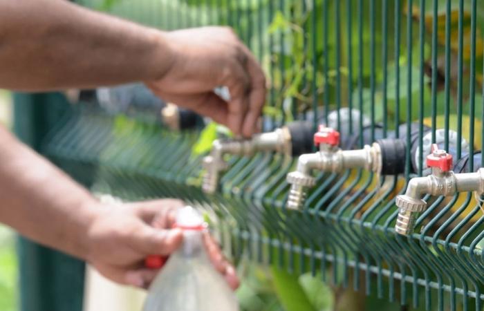 Mayotte, wenn das produzierte Wasser nicht mehr ausreicht, um den Zeitplan der wöchentlichen Schnitte einzuhalten