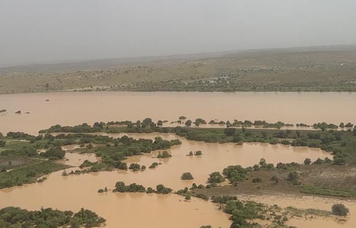 Senegal-Fluss: 55.600 Opfer und 1.002 Hektar überschwemmt (offiziell) | APAnews