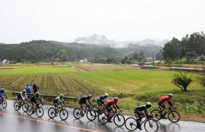 Radfahren. Japan Cup – Die 31. Ausgabe des Japan Cups… Strecke, Profil und Favoriten