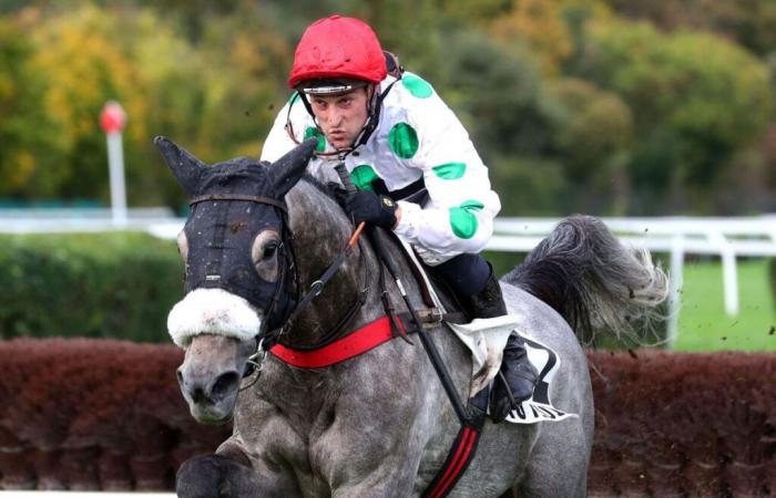 Samstag in Auteuil – Prix Orcada (Gr.III): Kaadam, Meister des Spiels