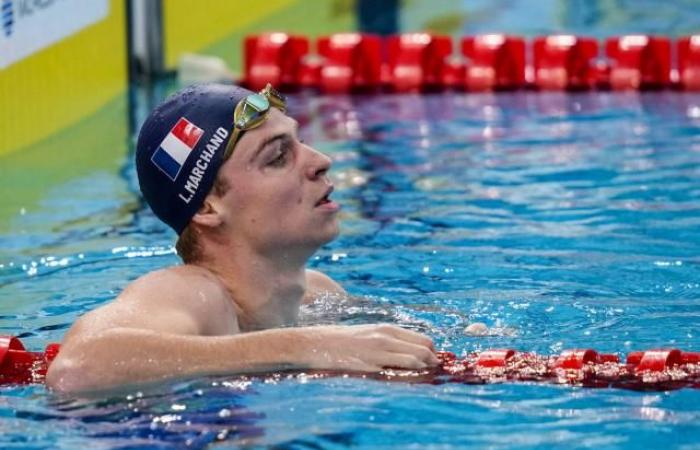 Léon Marchand gewinnt das 200-m-Lagen über die Kurzstrecke in Shanghai und bricht den Europarekord