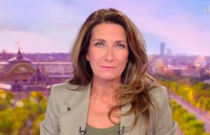 Publikum 20 Uhr: Anne-Claire Coudray auf TF1 postet fast 1,5 Millionen mehr als Laurent Delahousse auf France 2 – Der 2. Teil von TPMP auf C8 ist doppelt so hoch wie der von Quotidien auf TMC