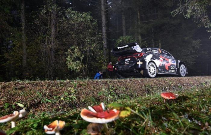 Mitteleuropäische Rallye | Sébastien Ogier (Toyota) liegt souverän an der Spitze, Thierry Neuville (Hyundai) liegt dahinter