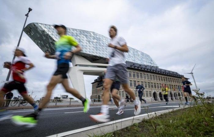 Rekordausgabe des Antwerpen-Marathons mit 19.000 Anmeldungen (Antwerpen)