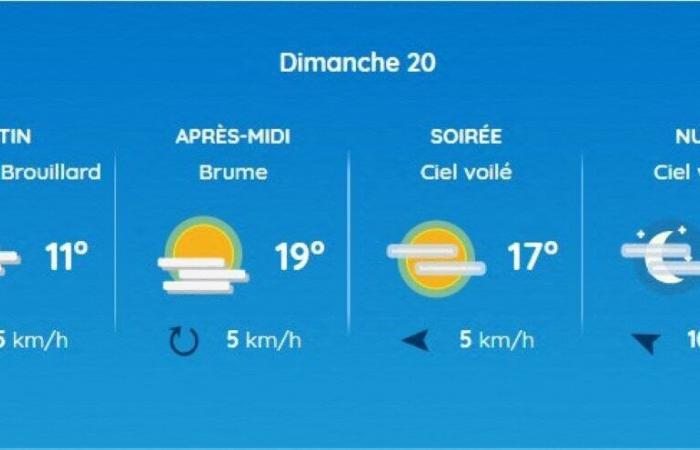 Wetterbericht. Wie wird das Wetter an diesem Wochenende in Toulouse und Okzitanien sein?