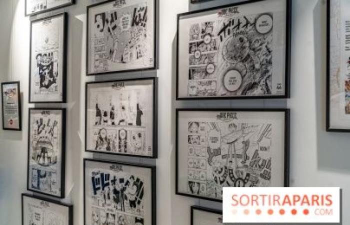 One Piece Pop-up Shop: Der riesige immersive Store mit Café und Ausstellung wird in Paris eröffnet