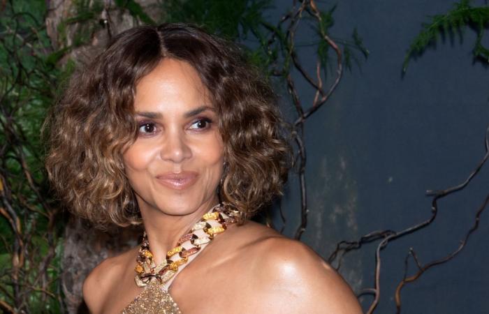 Halle Berry lüftet bei ihrem Modeldebüt den Schleier und das bringt einen nicht zum Träumen