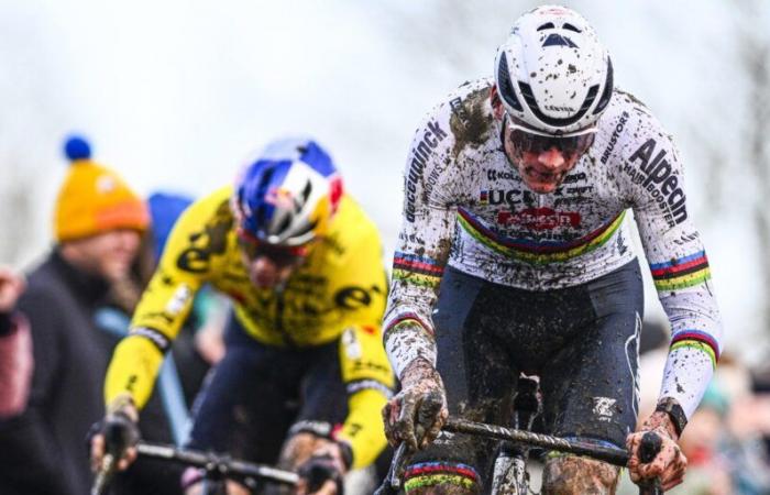 Niels Albert hat keine Zweifel: „Mathieu van der Poel und Wout van Aert werden kreuzen“