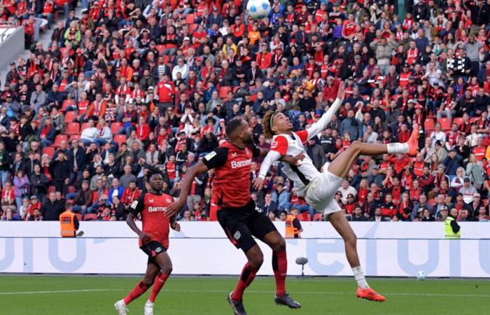 Eintracht Frankfurt: Dino Toppmöller sauer über Leistung von Brych | Sport