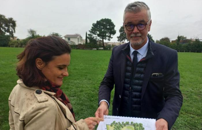 Auf der Suche nach Grünflächen verwandelt Villenave-d’Ornon ein Stadion in einen Park