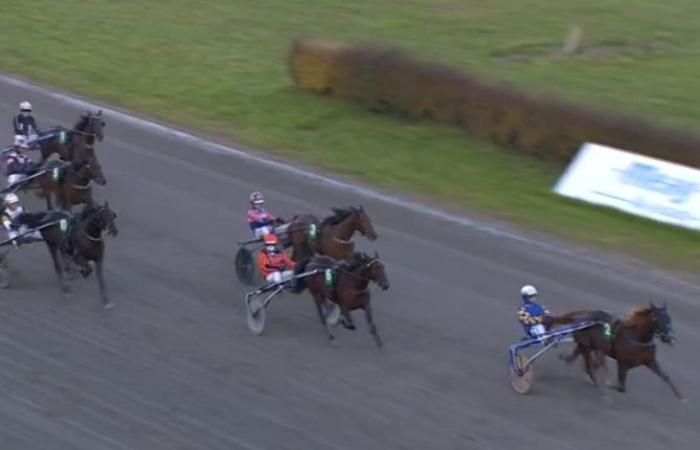 Svampen Örebro (Gr. II – Schweden): Sassy But Classy gekrönt