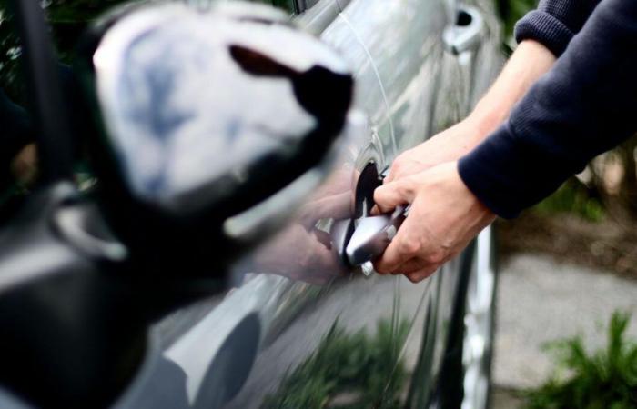 Autodiebstähle auf der Île-de-France: Zwei neue Mitglieder der „Mechaniker-Bande“ inhaftiert