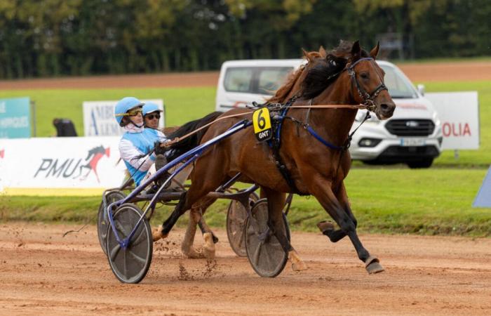 Pferde, Crack-Fahrer und Ponyreiten diesen Montag auf der Rennbahn von Cherbourg