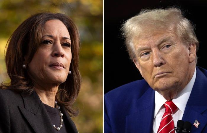 Als Harris 60 wird, bezeichnen die Demokraten Trump als alt und „verrückt“