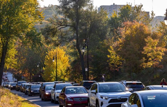 Ein idealer Herbstnachmittag im Mount Royal Park