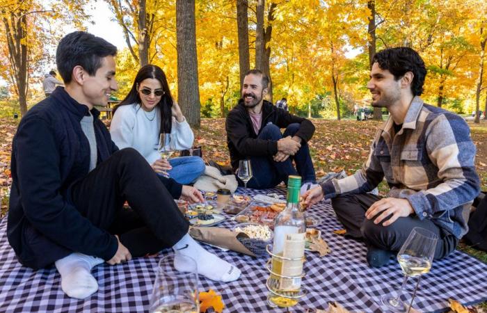 Ein idealer Herbstnachmittag im Mount Royal Park