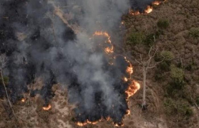 Die Verhütung von Waldbränden in Peru hat für uns Priorität