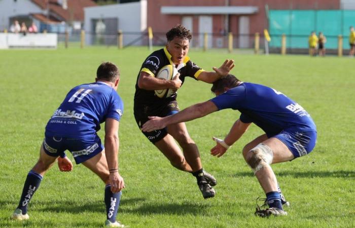 Rugby: die Ergebnisse des Wochenendes in Béarn und Soule