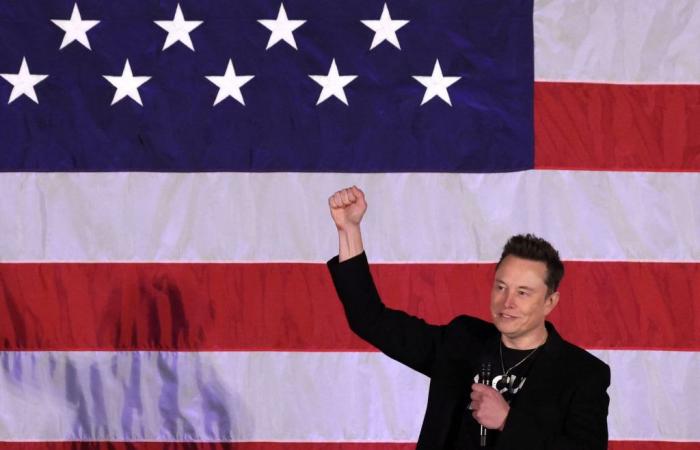 Musk bietet potenziellen Trump-Wählern 1 Million US-Dollar an