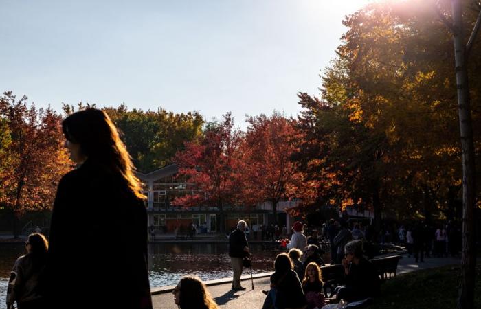 Ein idealer Herbstnachmittag im Mount Royal Park