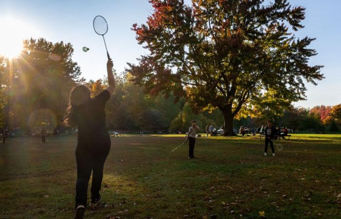 Ein idealer Herbstnachmittag im Mount Royal Park