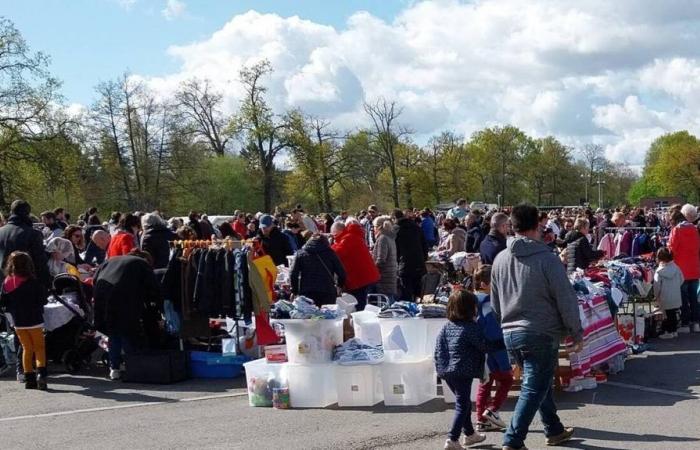 Bei einem Räumungsverkauf in der Nähe von Rennes verschwinden 3.000 Euro