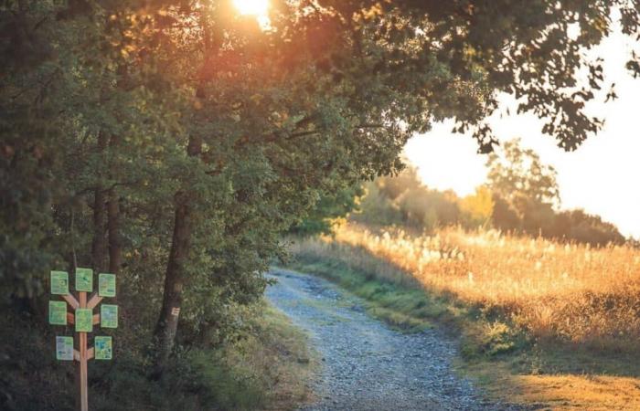 3 sehr einfache und kurze Spaziergänge für die Familie