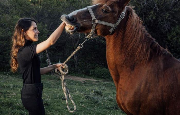 Erleben Sie ein einzigartiges Reiterlebnis in Haute-Savoie mit Sophie und ihrem Pferd Jackson