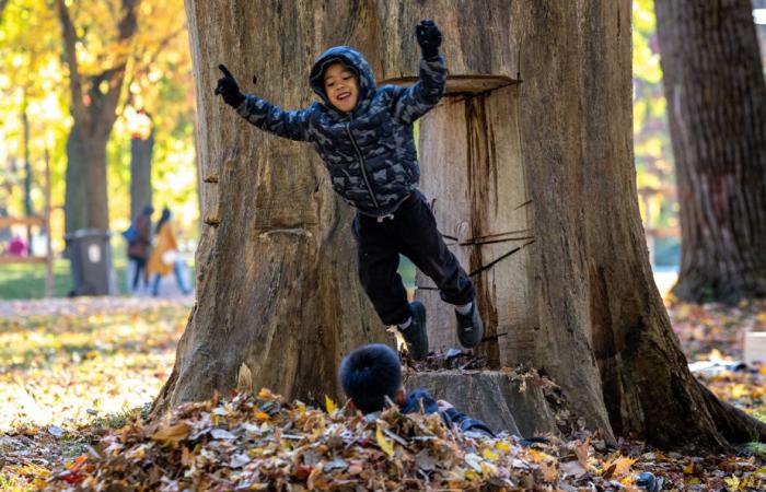 Ein idealer Herbstnachmittag im Mount Royal Park