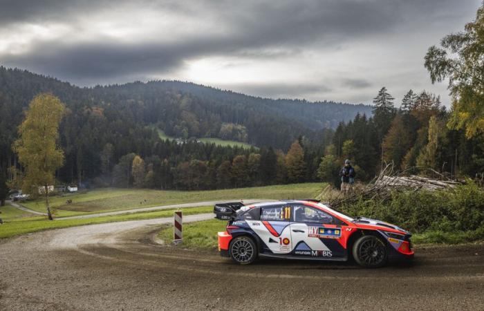 Mitteleuropäische Rallye: Kann Thierry Neuville noch Meister werden?