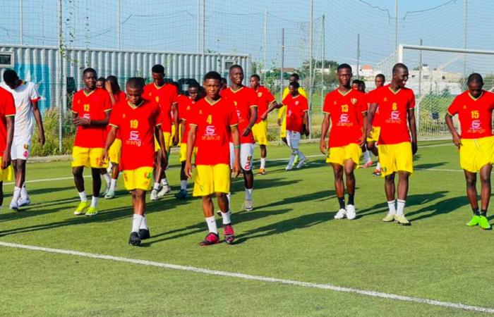 Guinea (erneut) wegen Altersbetrugs disqualifiziert – Guineefoot