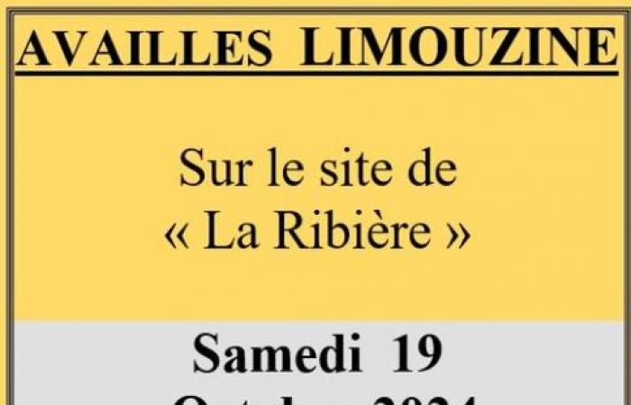 Süd-Gironde – RADFAHREN — — Ergebnisse des Cyclocross-Rennens Availles Limouzine