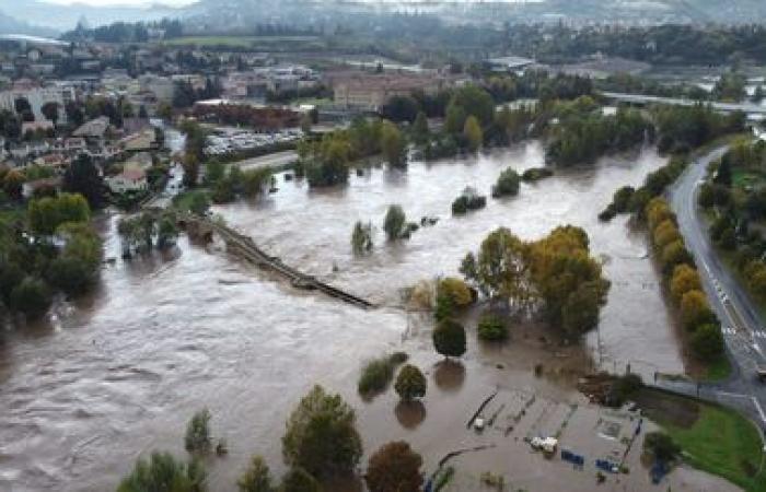 Die Panga-Kuh, Symbol der verheerenden Überschwemmung in der Haute-Loire, überlebte nicht