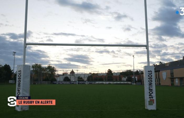 VIDEO. Angesichts der Geißel des Kokains ist Rugby in Alarmbereitschaft