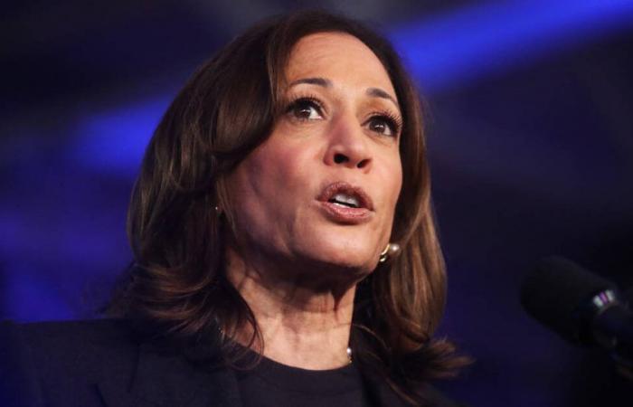 Was wissen wir über die von Donald Trump angefochtene Anstellung von Kamala Harris bei McDonald’s? – Befreiung