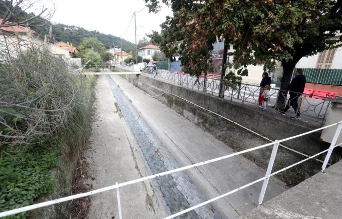 Nach dem schlechten Wetter geben die Bewohner dieses Stadtteils von Nizza dem Staat die Schuld: Aber wer ist wirklich für die Instandhaltung dieses Flusses verantwortlich, der fast über die Ufer trat?