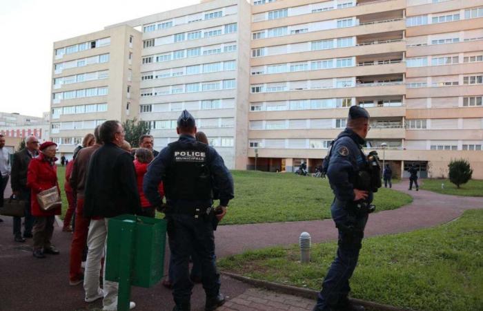 In Val-d’Oise, einem Bezirk, der unter der Aufsicht der Stadtpolizei steht