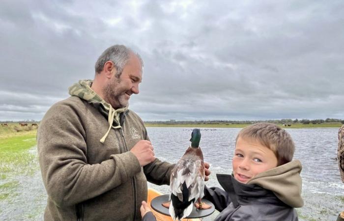 Gabionenjagd, wichtig für die Artenvielfalt in den Sümpfen des Cotentin