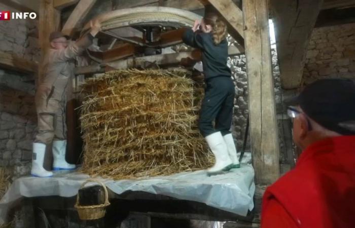 Ardennen: In diesem Dorf wird Apfelsaft gepresst … durch einen Strohhalm